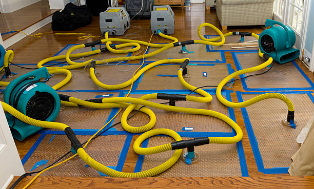 Professional Basement Flood Cleanup technician working in New Port Richey, FL